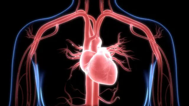 సీపీఆర్