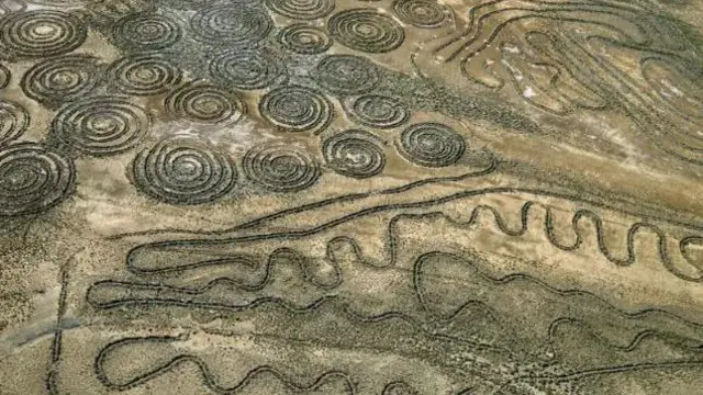 Abarimyi bo muri Cap Nord, muri Afrika y'Epfo, barimvye isi