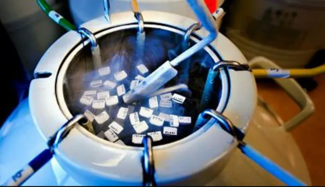 இறந்த பின்னர் இனப்பெருக்கம் குறித்து சர்வதேச நாடுகளில் ஒருமித்த கருத்து இல்லை 