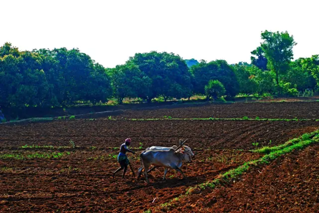 விவசாயிகள், சிறுநீரக பாதிப்பு