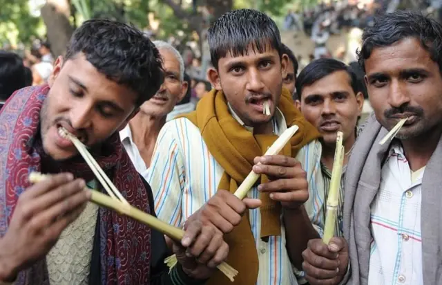 શેરડીથી શું લાભ થાય, શેરડીથી દાંત પેટ આંતરડાને શું લાભ થાય, શેરડી અને ડાયાબિટીસ, ડાયાબિટીસવાળાએ શેરડીનો રસ કે ગંડેરી ખવાય, બીબીસી ગુજરાતી