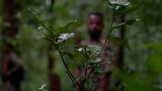 మావోయిస్టులు, బస్తర్, డీఆర్‌జీ, కేంద్ర ప్రభుత్వం, అమిత్‌షా, ఆదివాసీలు