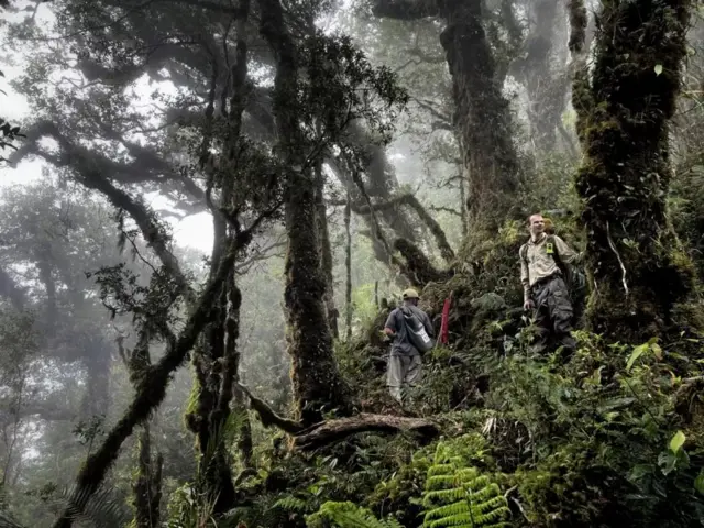 டைனோசர் காலத்து உயிரினம் கண்டுபிடிப்பு