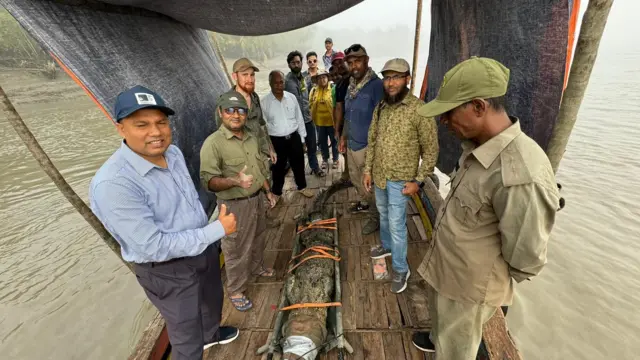 কুমিরের গায়ে বসানো স্যাটেলাইট ট্যান্সমিটার বসানোর প্রস্তুতি