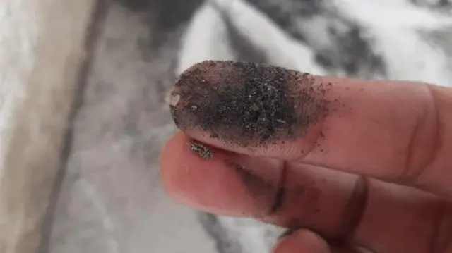 Debu batu bara mencemari Rusun Marunda