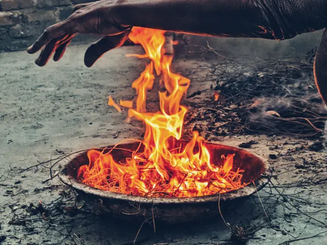 કમળ પૂજા