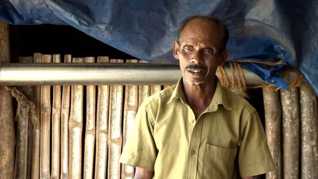 யானைகள், முதுமலை புலிகள் காப்பகம்