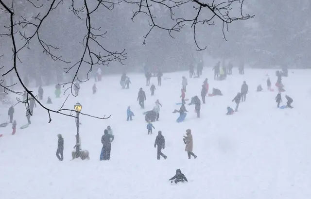 Дети катаются на санках в Центральном парке