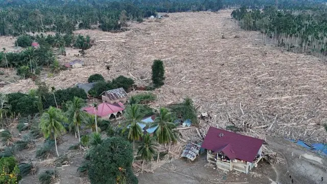 Foto udara kayu gelondongan yang terbawa arus banjir di Desa Geudumbak, Kecamatan Langkahan, Aceh Utara, Aceh, Jumat (5/12/2025). Kayu gelondongan tersebut menumpuk di sepanjang Daerah Aliran Sungai (DAS) Arakundo pasca diterjang banjir bandang pada Rabu (26/11) yang menimpa puluhan rumah warga di desa setempat.