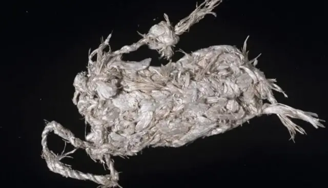 ਐਸਬੇਸਟੋਸ