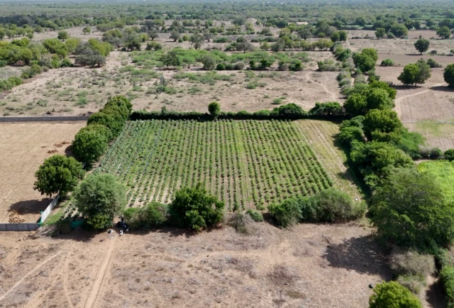 અમદાવાદની આસપાસનાં ગામોમાં ઑલિમ્પિકની મેજબાની માટે સરવેનું કામ હાથ ધરવામાં આવી રહ્યું છે