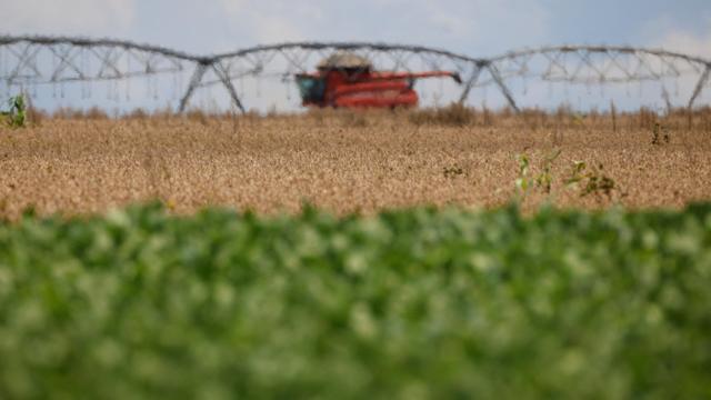 Colheitaqual melhor app para apostassojaqual melhor app para apostasGoiás