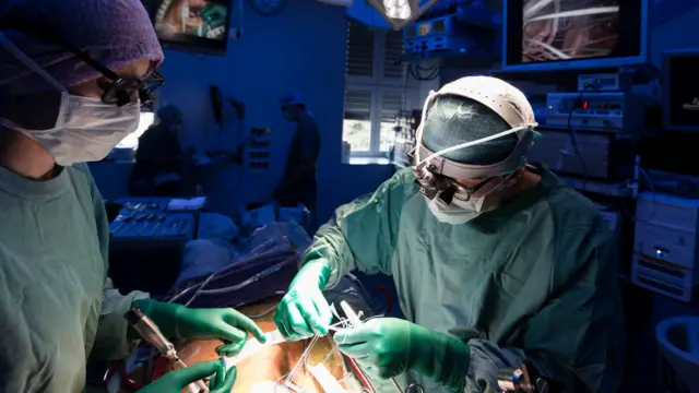 Соңку ондогон жылда эркек уругунун сапаты түшүп жатканын изилдөөлөр далилдеген