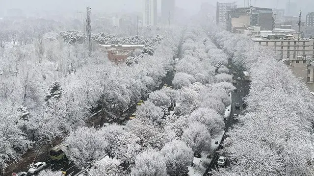 خیابان برفی