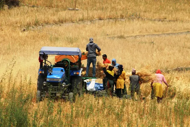 कृषि उपज थन्क्याइँदै
