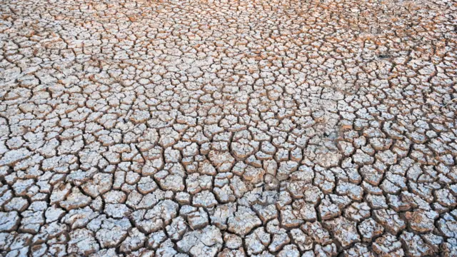 PANUMAS SANGUANWONG/BBC THAI