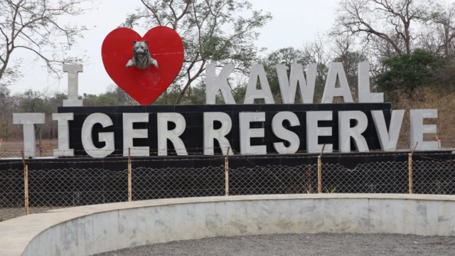 పులుల సంరక్షణ కేంద్రం, మహారాష్ట్ర