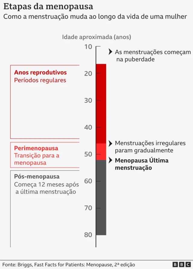 Gráfico intitulado "Estapas da menopausa", com uma barra que vai dos 10 aos 80 anos, mostrando dos anos reprodutivos ao pós-menopausa