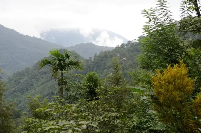 वेस्टर्न घाट