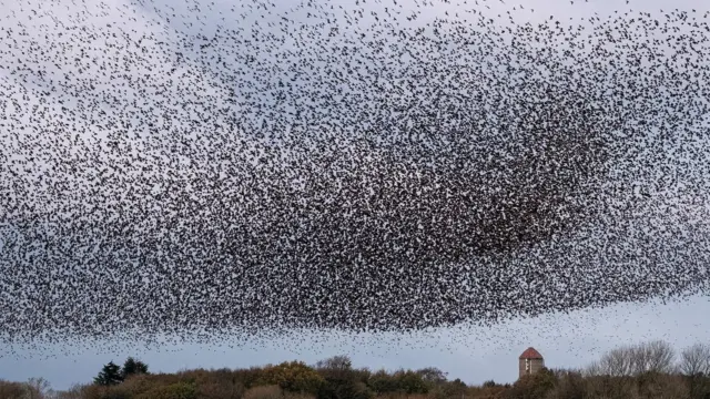 Revoadavbet müşteri hizmetleriestorninhos no céu