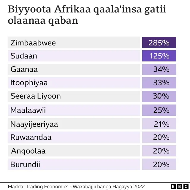 Biyyoota Afrikaa qaala'iinsa gatii olaanaa qaban