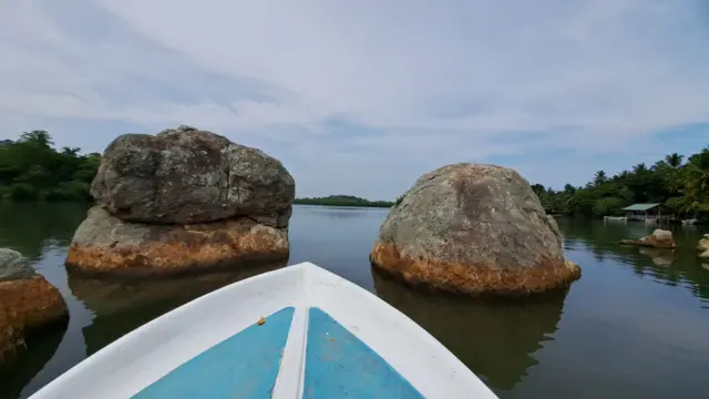 මාටින් වික්‍රමසිංහයන්ගේ 'කරුවල ගෙදර' ග්‍රන්ථයේ කොග්ගල