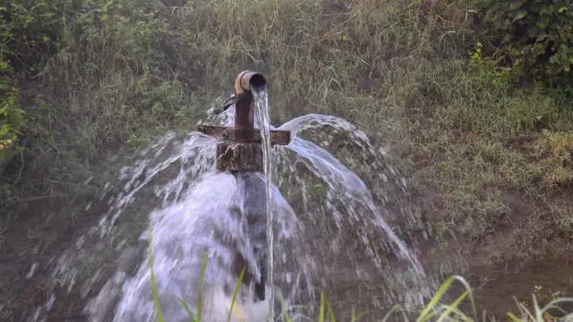 తెలంగాణ