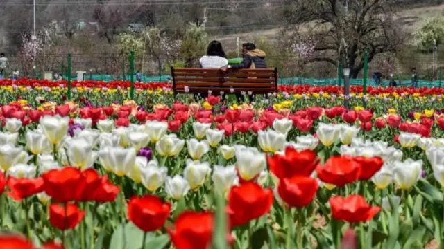 திருமணம், பெண்கள், குழந்தைகள் 