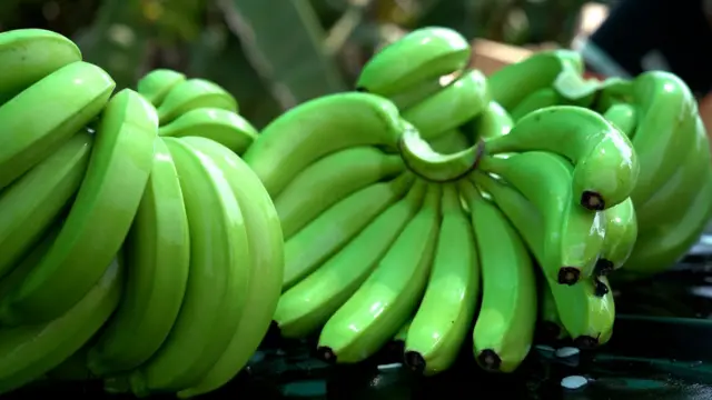 అనంతపురం