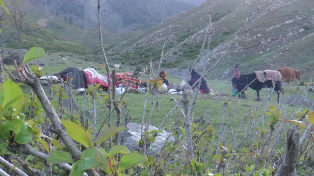 जम्मू कश्मीर का बकरवाल समुदाय