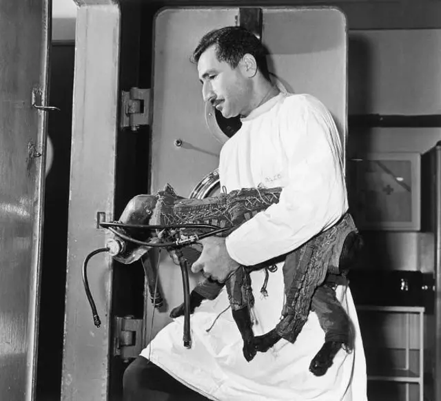 બીબીસી ગુજરાતી લાઈકા કૂતરી શ્વાન સ્પુટનિક 2 સોવિયેત યુનિયન અમેરિકા અંતરીક્ષયાન સ્પેસક્રાફ્ટ