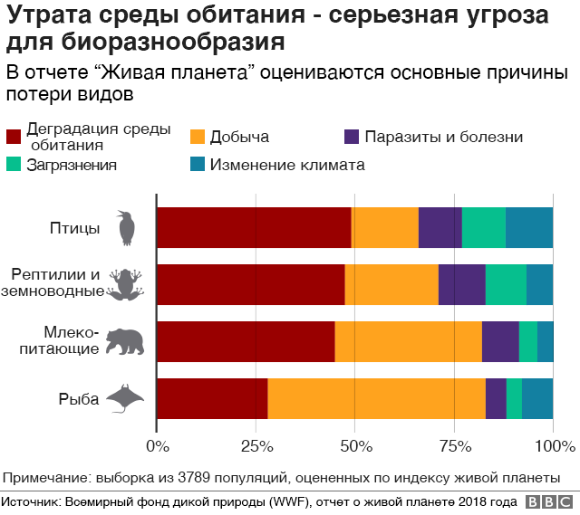 Жизнь на Земле