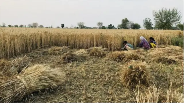 హేమమాలిని ఫొటో