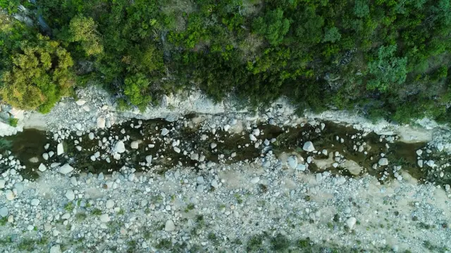 Arroyo en la Sierra La Laguna