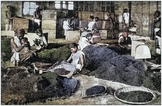 சென்னை மாகாணத்தில் வேளாண்மையில் ஆங்கிலேயர் ஆட்சியின் தாக்கம்