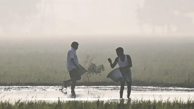 கடந்த டிசம்பர் மாத இறுதியில் சென்னை புறநகர் பகுதியில் குளிருக்கு மத்தியில் விவசாய வேலைகளை பார்க்கின்றனர்