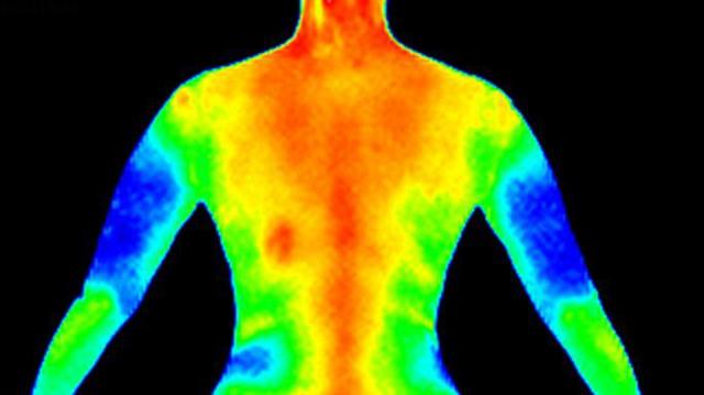 heatwave effect on human body
