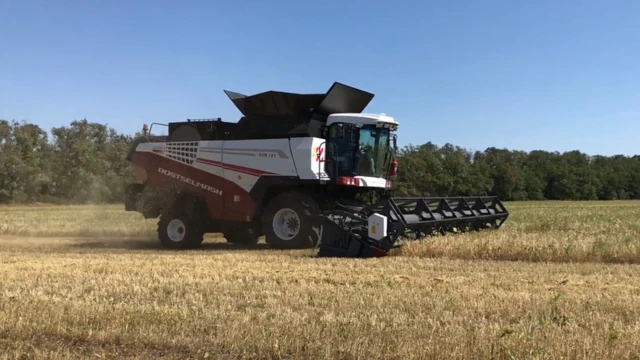 Агробот Cognitive Technologies собирает урожай пшеницы.
