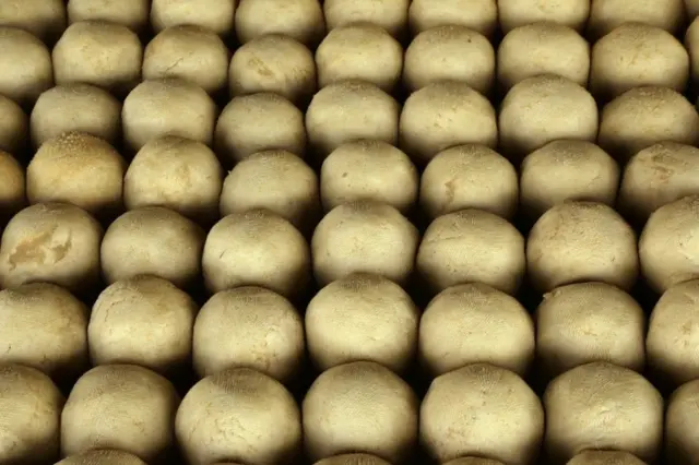 Traditional soap called Cabacourou.