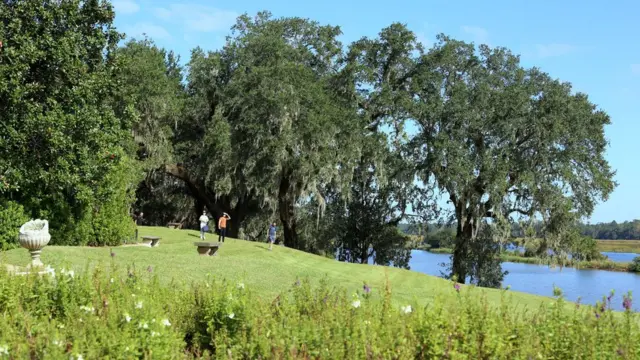 Turistas visitam a Fazenda Middleton Place