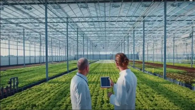 Naqshadda waxsoo saarka beeraha magaaladaasi