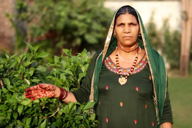 विधुरो को भी पेंशन 