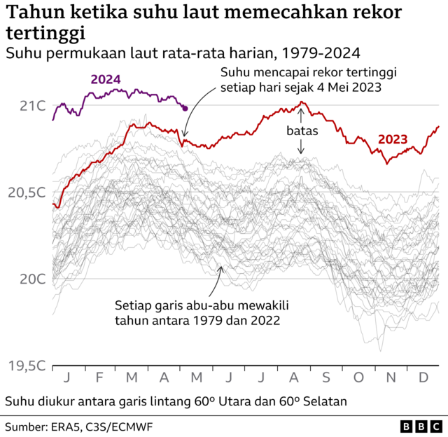 Grafik beberapa garis menunjukkan suhu permukaan laut rata-rata global setiap tahun sejak 1979. Sejak 4 Mei 2023, suhu telah mencapai rekor tertinggi sepanjang tahun, terkadang dengan selisih yang sangat besar.
