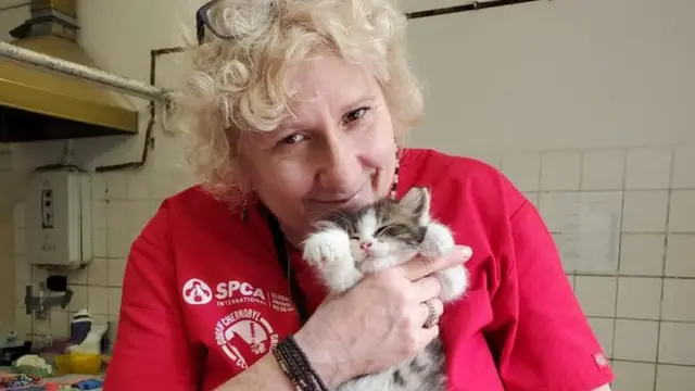 Волонтерка і кіт