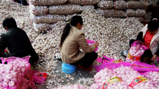 Chińscy rolnicy pakują czosnek na targu hurtowym w Yichang
