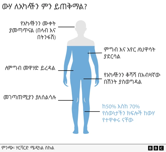 ውሃ ለአካላችን የሚሰጠውን ጥቅም የሚያሳይ ምስል