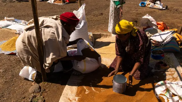 Qonnaan bulaa xaafii bitaa turan