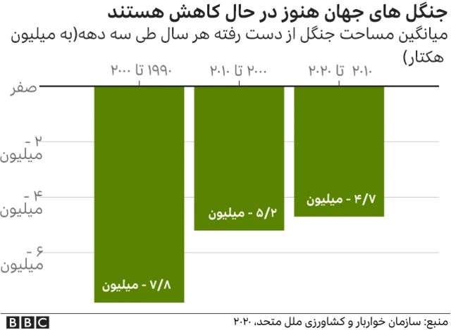 جنگل زادیی در جهان