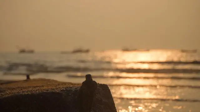 જળવાયુ પરિવર્તન 