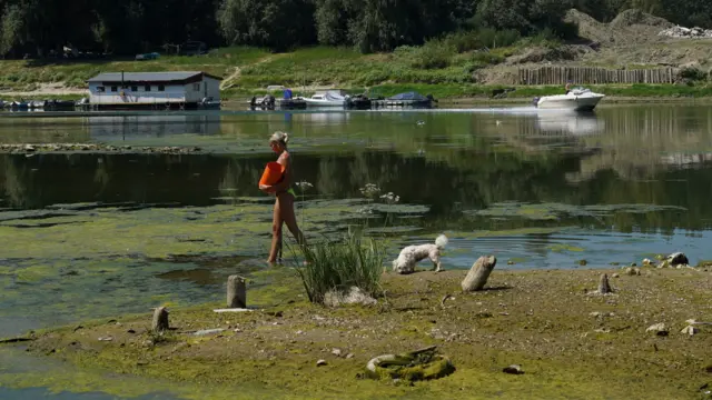 Kobieta zbiera muszle z dna Dunaju blisko plaży w rumuńskim Călărași. Poziom wody w rzece jest rekordowo niski